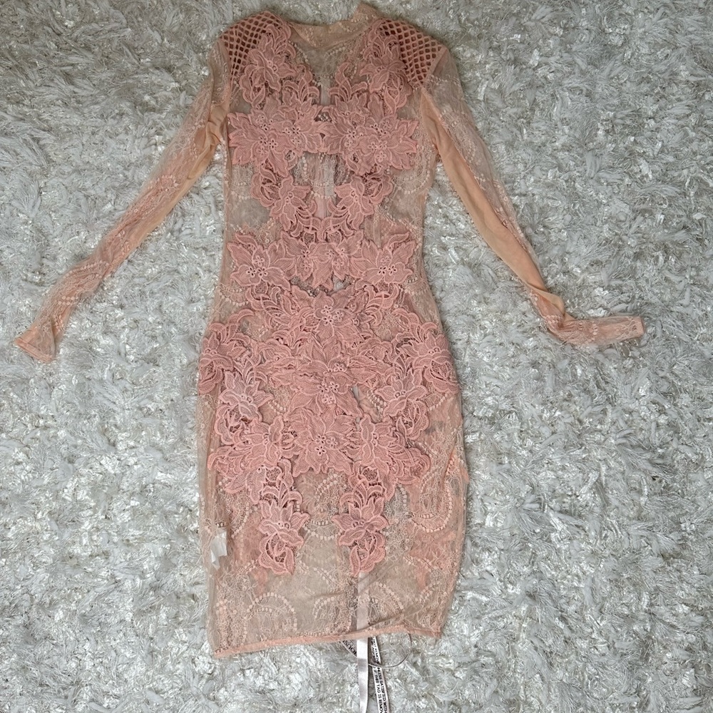 Brand new House of CB dress with sheer lace panels